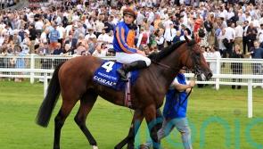 Coolmore offer Paddington nomination for auction in aid of Graham Lee