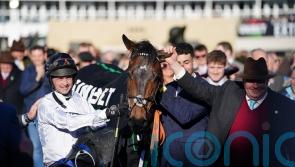 Henderson: Constitution Hill not certain to go for rearranged Fighting Fifth