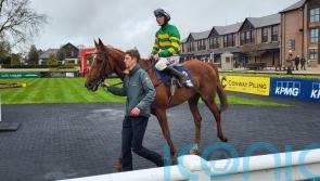 Elixir D’Ainay returns to win after mammoth absence