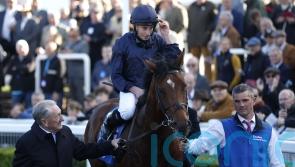 O’Brien plotting separate Classic routes for star juveniles
