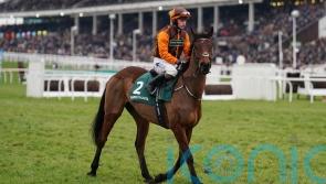 Noble Yeats shows promise in defeat with future in mind