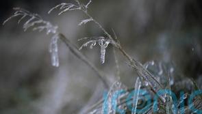 Warning as temperatures expected to plunge below zero across Ireland