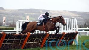 De Bromhead favouring Aintree for Bob Olinger