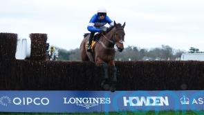 Pic D’Orhy makes all for stylish Ascot Chase success