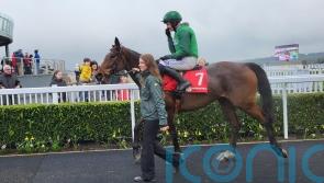 Mullins and Townend heading to Cheltenham on back of Naas treble