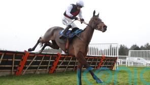 Padded hurdles to be introduced at all Jockey Club-owned jumps tracks