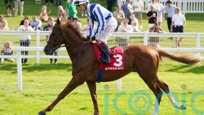 Menuisier has exciting targets in the pipeline for Devil’s Point