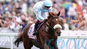 Botti eyeing Newmarket outing for Giavellotto
