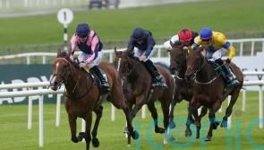 Stay Alert primed for Pretty Polly redemption