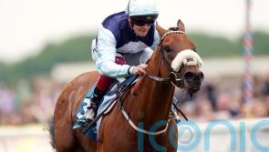 Bethell wary of Inisherin threat to Regional in July Cup