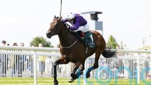 Bucanero Fuerte camp have &lsquo;loads of options&rsquo; to consider