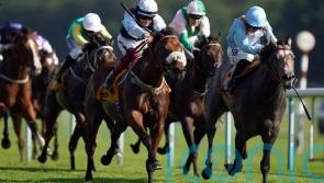 Group One engagement next for Shouldvebeenaring