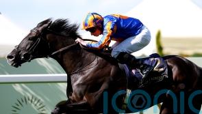 Japan Cup likely to come into focus for Auguste Rodin