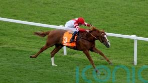 King’s Gambit in line for possible York return following narrow reverse