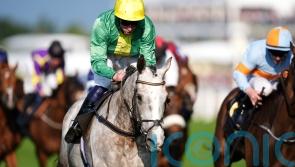Flat possibilities open to Copper Horse winner Belloccio