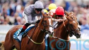 Thunder runs to York victory for Burke and Egan