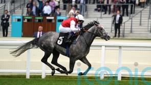 Haydock and Curragh on Cox’s shortlist for Jasour