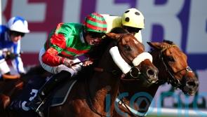 Daysofourlives could target Balmoral if conditions suit