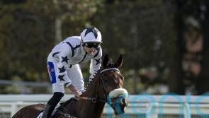 Al Qareem proves back-to-back Cumberland Lodge hero