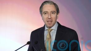 Taoiseach pledges to move ‘swiftly’ to call election after Finance Bill passes