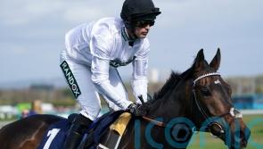 Constitution Hill ‘looks fantastic’ ahead of Kempton target