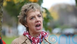 Labour party member at risk of expulsion over Bacik leak