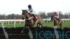 Constitution Hill and Lossiemouth declared for Christmas Hurdle