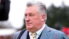 Jubilee Alpha turns in dominant display at Taunton