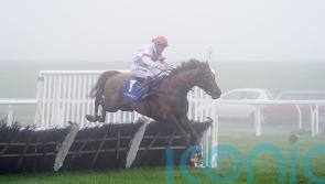 Nietzsche Has embarks on stallion career