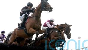 Ifiwerearichman taking direct route to Cheltenham