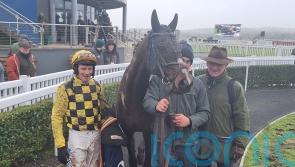 Anzadam canters to Grade Three glory at Naas