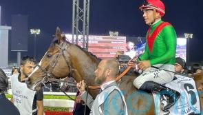Saudi Cup next for Facteur Cheval after passing dirt test