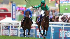 Tributes pour in for the Aga Khan, breeder of &lsquo;almost perfect equine athletes&rsquo;