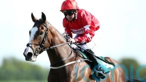 Spirit Dancer heading home after Riyadh run