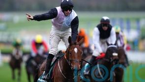 Elliott backing Tea for two Stayers’ Hurdle victories