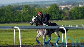 Field Of Gold can ‘close the circle’, says Gosden