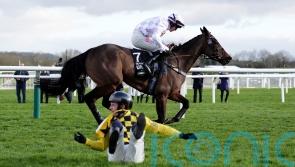 Crack hurdlers poised for eagerly-awaited Punchestown ‘decider’