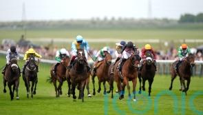 Davison planning ‘logical’ progression for She’s Quality