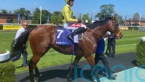 Hannon relishing Royal Ascot rematch with Lockinge third Rosallion