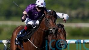 Bucanero Fuerte shows he still has the power