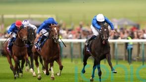 Ruling Court leads 19 contenders for Derby crown