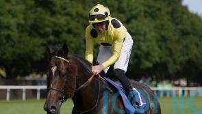 Inisherin fine after Newmarket frustration
