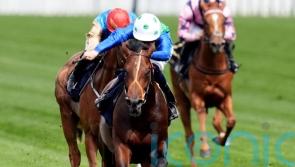 Meehan seeking stamina answers with Steventon contender Rashabar