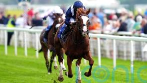Ascot run might not add up for Haggas’ Economics