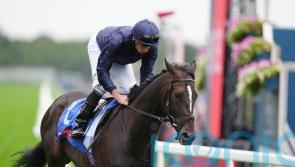 Aidan O’Brien eyeing Leger date for Derby hero Lambourn