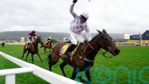 Golden Ace enjoying her summer and ‘looks a million dollars’