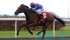 Dubai Honour goes for Baden-Baden gold