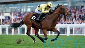 Rosallion ready to face Prix du Moulin challenge