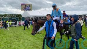 St Leger dreams dashed for Lazy Griff team