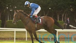 ‘Absolute blinder’ of a run sets Anmaat up for Ascot defence